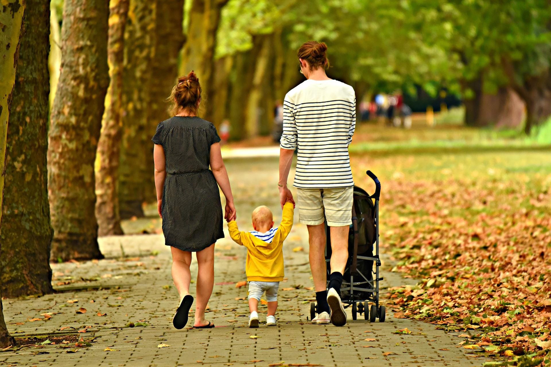 COMO DESARROLLAR Y MANTENER UNA FAMILIA VIRTUOSA (parte II)