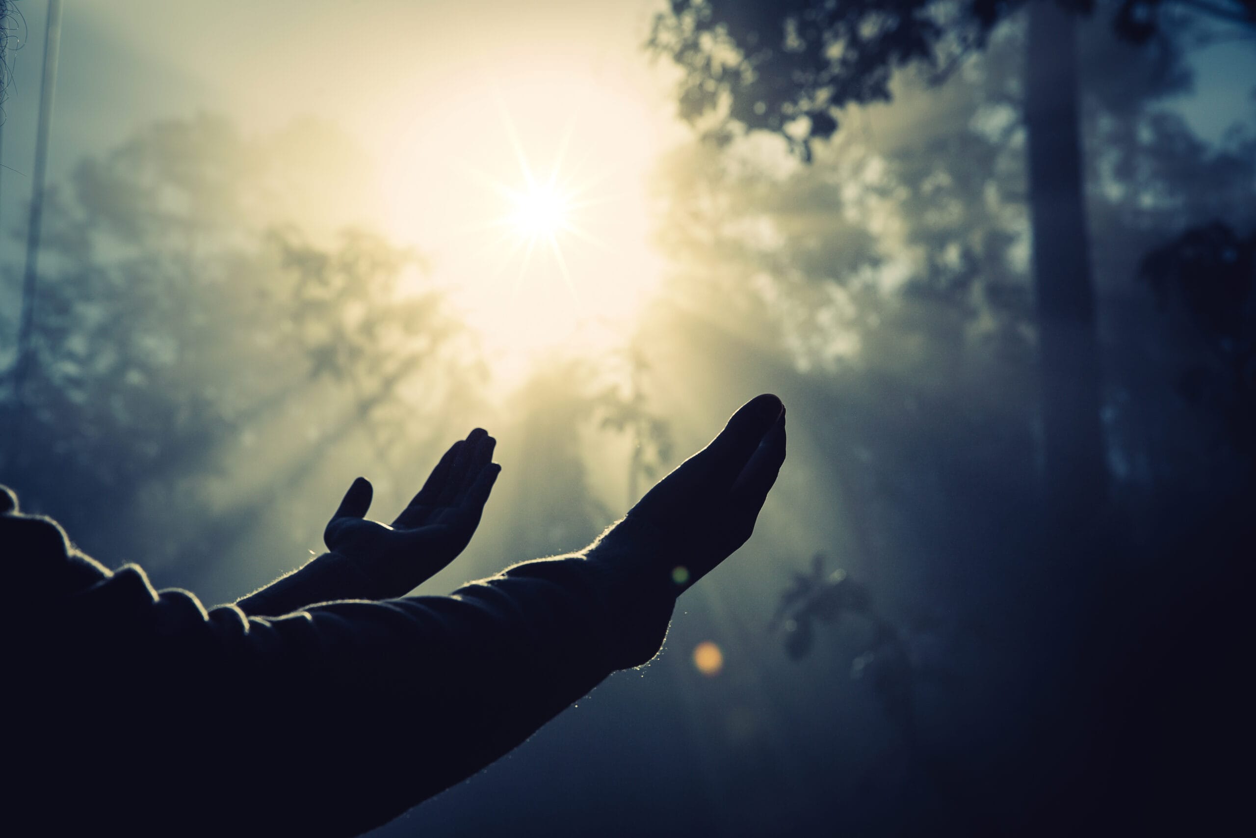 La vida del creyente que agrada a Dios (Ef. 4.17-32)