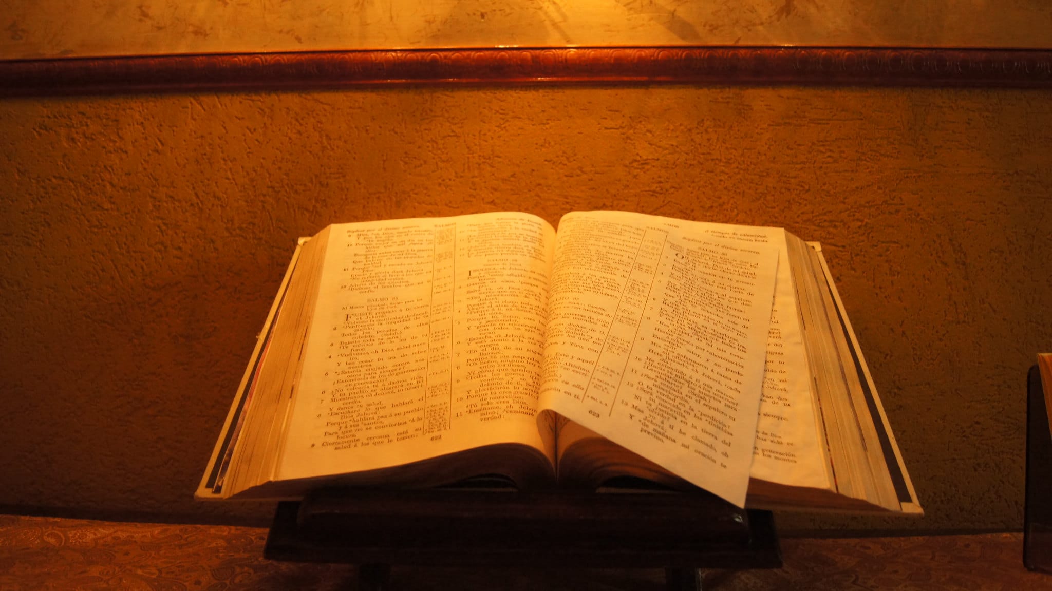 Devocional 28 de Mayo del 2021