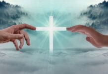 LA VENIDA DEL SEÑOR POR LOS SANTOS (IV)