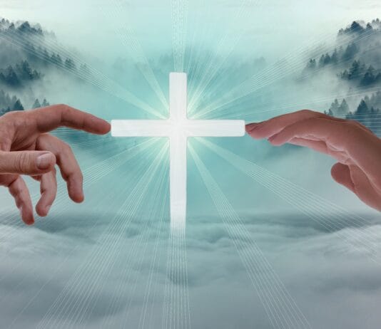 LA VENIDA DEL SEÑOR POR LOS SANTOS (XII)