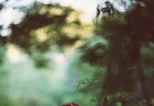 Devocional virtual, 15 de julio, 2021