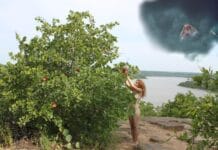 LA CAÍDA DEL HOMBRE “ADÁN Y EVA”