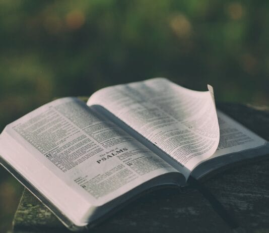 LA RESTAURACIÓN ESPIRITUAL(TALLER)